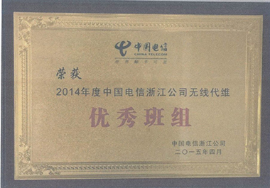 2014年度中國(guó)電信浙江公司無線代維優(yōu)秀班組
